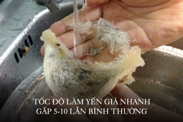 Thật giả lẫn lộn, yến trộn ngày càng nhiều - Ảnh 1. that gia lan lon yen tron ngay cang nhieu 1